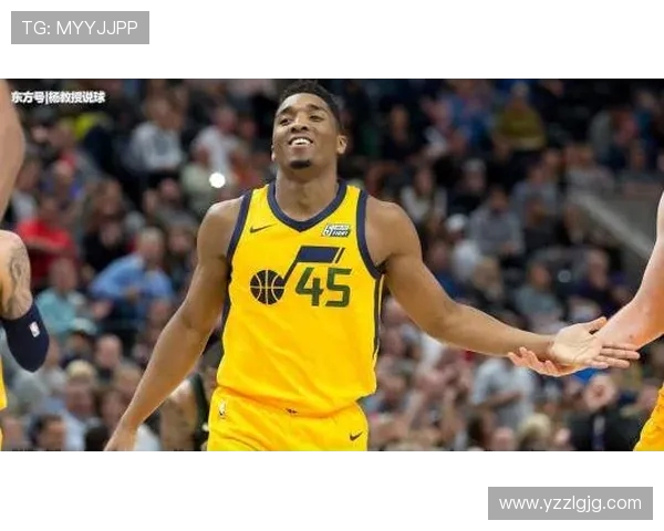 多诺万米切尔：从新秀到全明星的华丽蜕变与未来展望