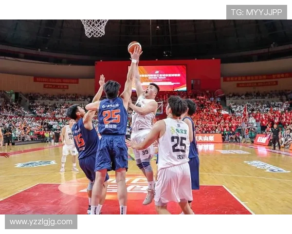 沈梓捷：从青年才俊到篮球赛场的璀璨明星之路探索与成长