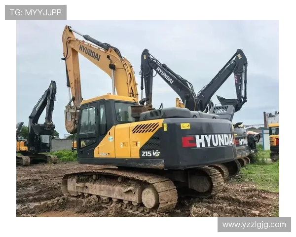 现代215VS车型评测与对比分析,看看它的性能与配置是否值得购买 现代215VS车型评测与对比分析,看看它的性能与配置是否值得购买