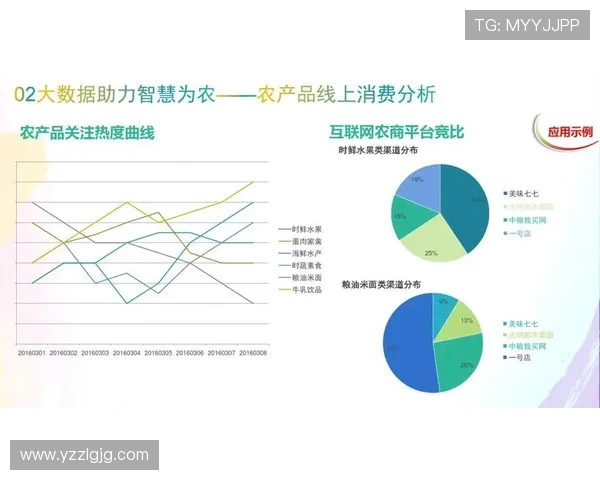 深入探讨V5在数据分析中的速度表现与优化策略 深入探讨V5在数据分析中的速度表现与优化策略