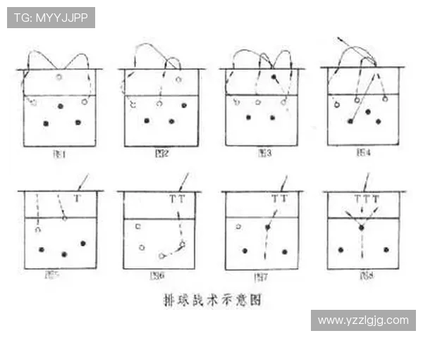 深圳排球队整体压制战术解析与未来发展展望 深圳排球队整体压制战术解析与未来发展展望