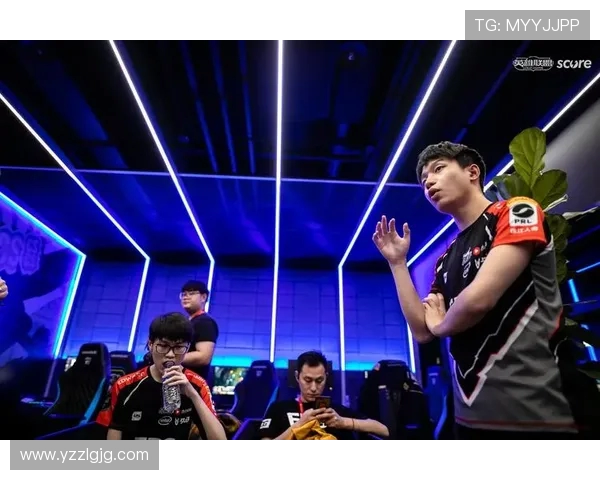 英雄联盟EDG战队深度解析：从比赛经验看职业选手的成长之路